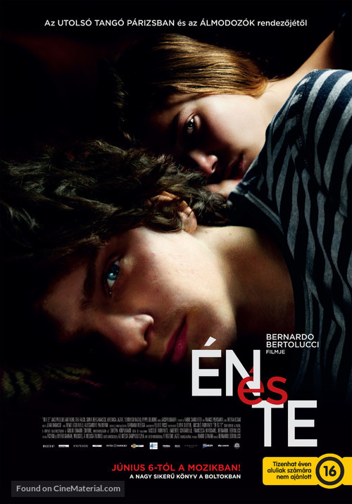 Io e te - Hungarian Movie Poster