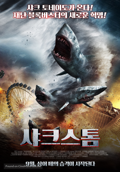 Sharknado - South Korean Movie Poster