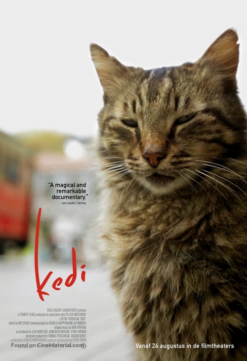 Kedi - Dutch Movie Poster