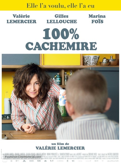 100% cachemire - French Movie Poster