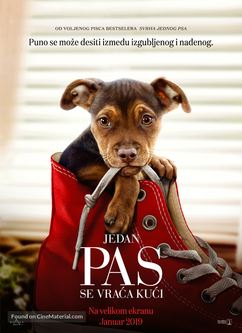 A Dog&#039;s Way Home - Serbian Movie Poster