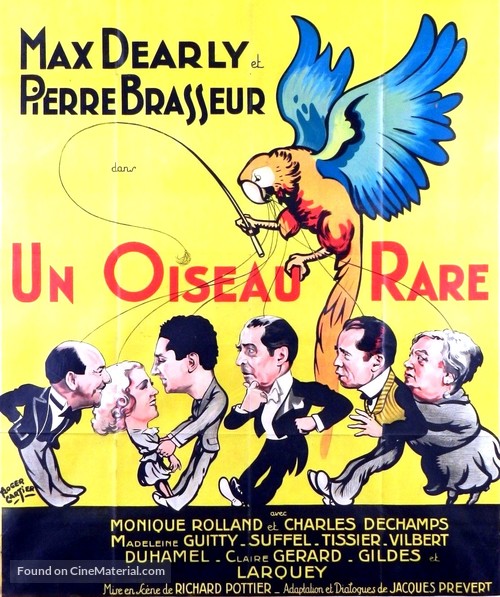 Un oiseau rare - French Movie Poster