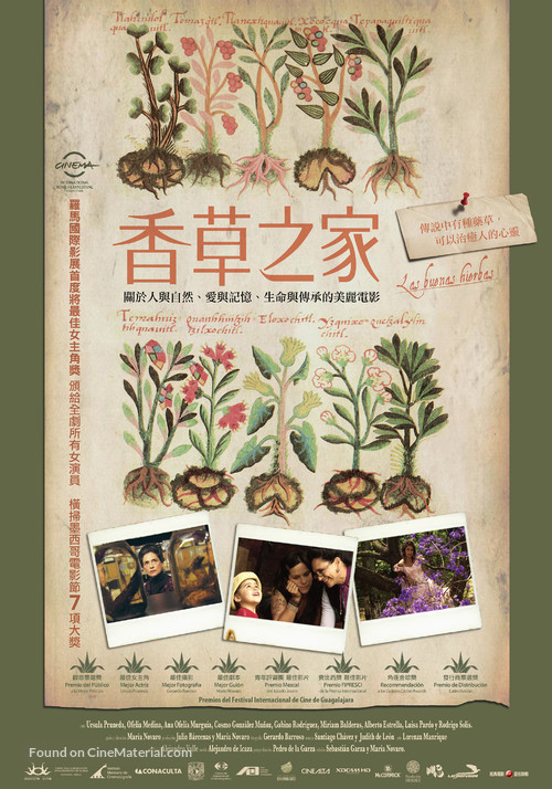 Las buenas hierbas - Taiwanese Movie Poster