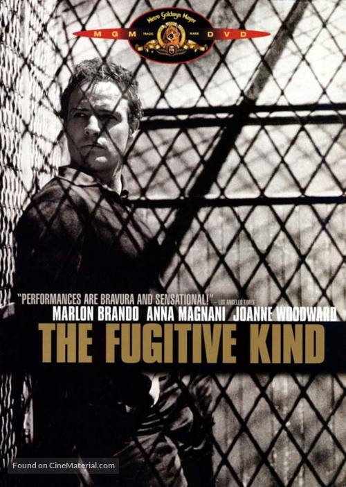 The Fugitive Kind - DVD movie cover