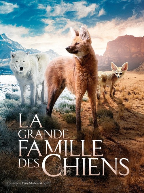 Dogs in the Wild - French Video on demand movie cover