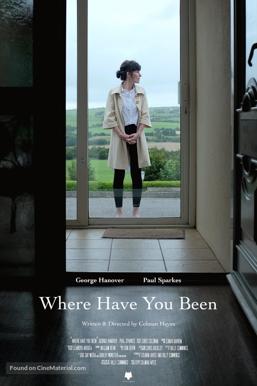 Where Have You Been - Irish Movie Poster