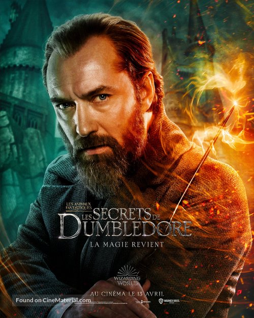 Fantastic Beasts: The Secrets of Dumbledore - French Movie Poster