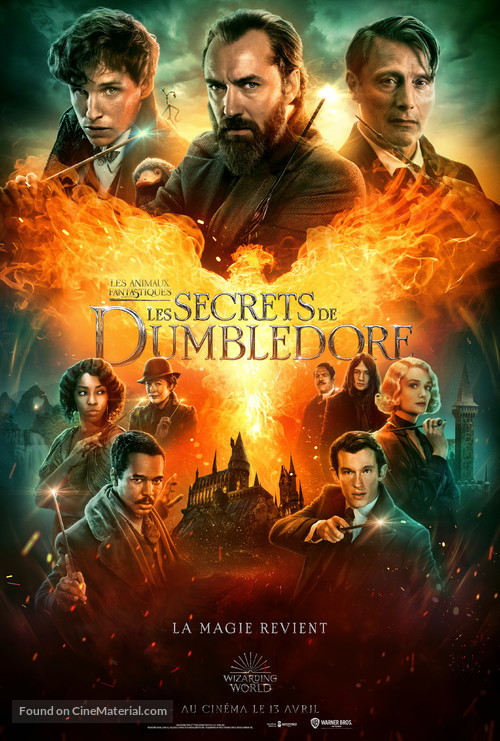 Fantastic Beasts: The Secrets of Dumbledore - French Movie Poster