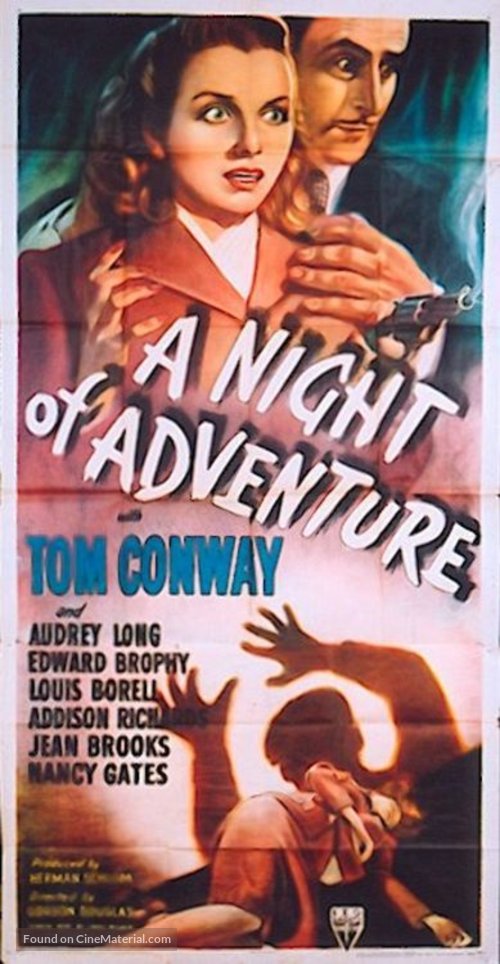 A Night of Adventure - Movie Poster