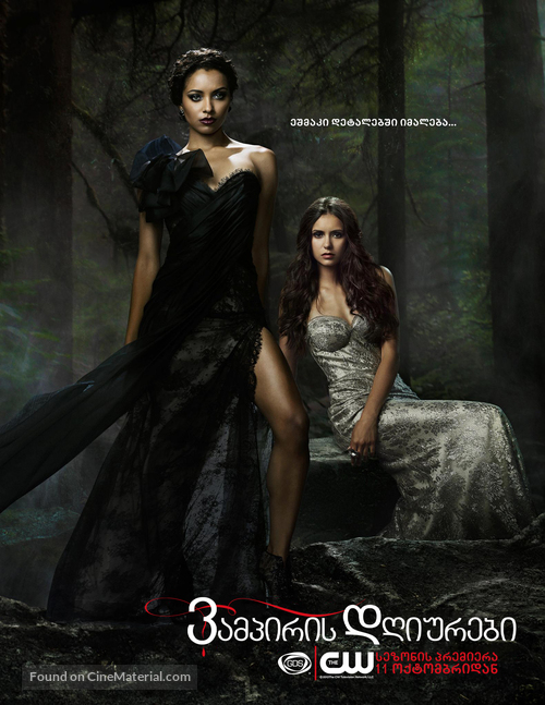 &quot;The Vampire Diaries&quot; - Georgian Movie Poster