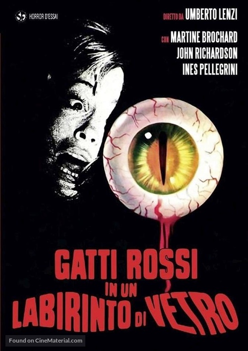Gatti rossi in un labirinto di vetro - Italian DVD movie cover