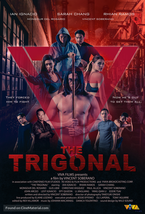 The Trigonal: Fight for Justice - Philippine Movie Poster