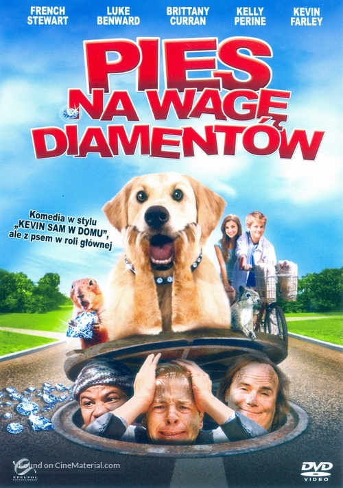 Dog Gone - Polish DVD movie cover