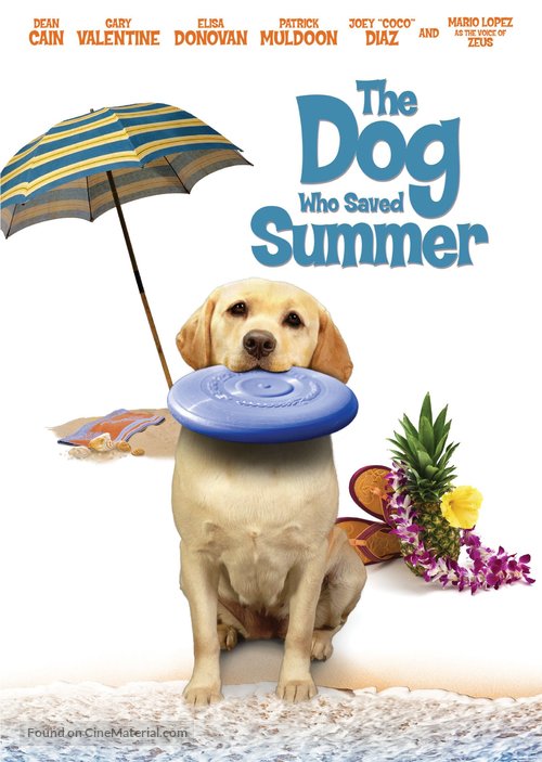 The Dog Who Saved Summer - DVD movie cover