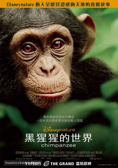 Chimpanzee - Hong Kong Movie Poster