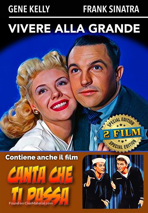 Living in a Big Way - Italian DVD movie cover