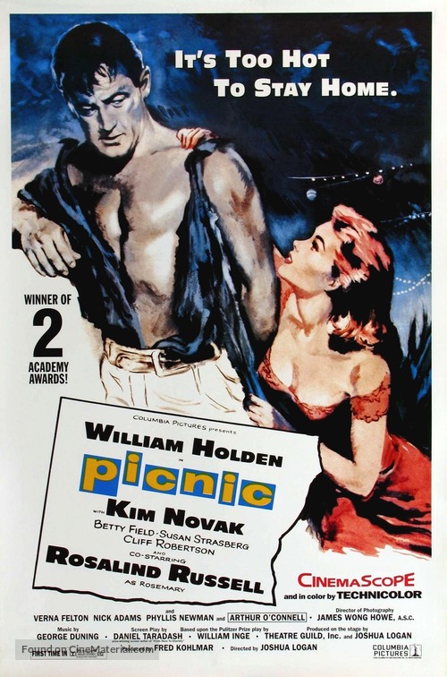 Picnic - Movie Poster