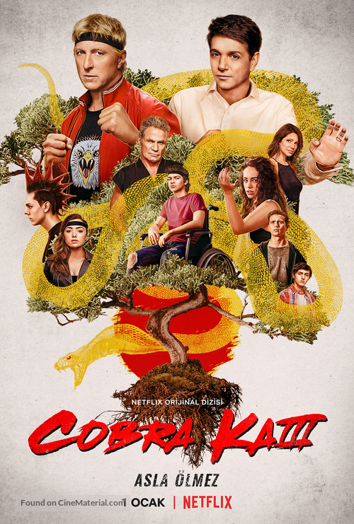 &quot;Cobra Kai&quot; - Turkish Movie Poster