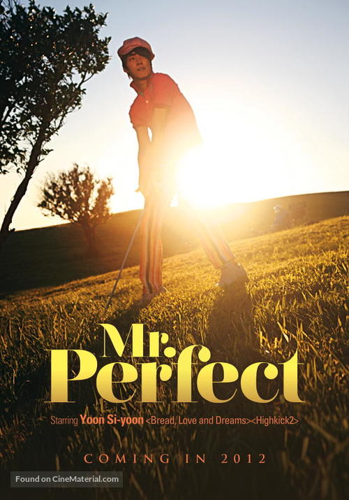 Mr. Perfect - South Korean Movie Poster