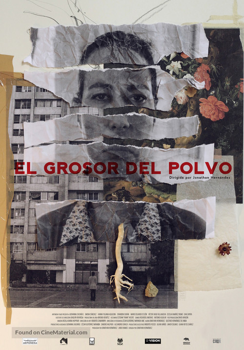 El grosor del polvo - Mexican Movie Poster