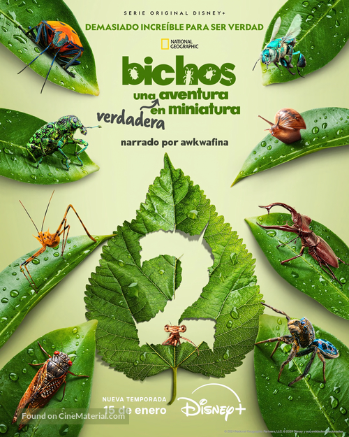 &quot;A Real Bug&#039;s Life&quot; - Mexican Movie Poster