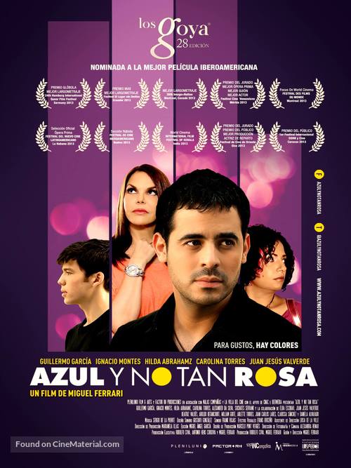 Azul y no tan rosa - Spanish Movie Poster