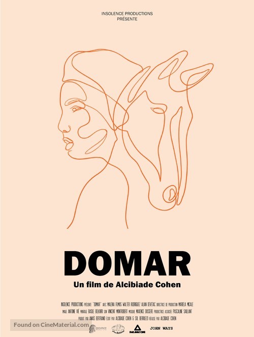 Domar - French Movie Poster