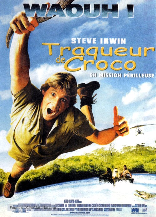 The Crocodile Hunter: Collision Course - French Movie Poster
