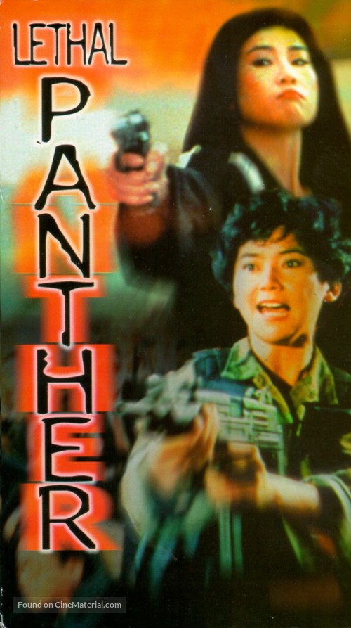 Jing tian long hu bao - VHS movie cover