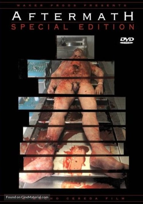Aftermath - DVD movie cover