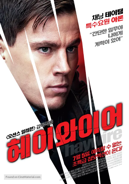 Haywire - South Korean Movie Poster