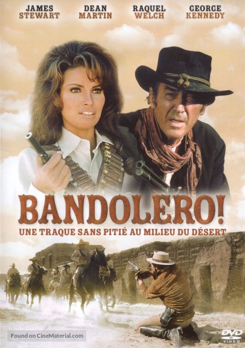 Bandolero! - French DVD movie cover