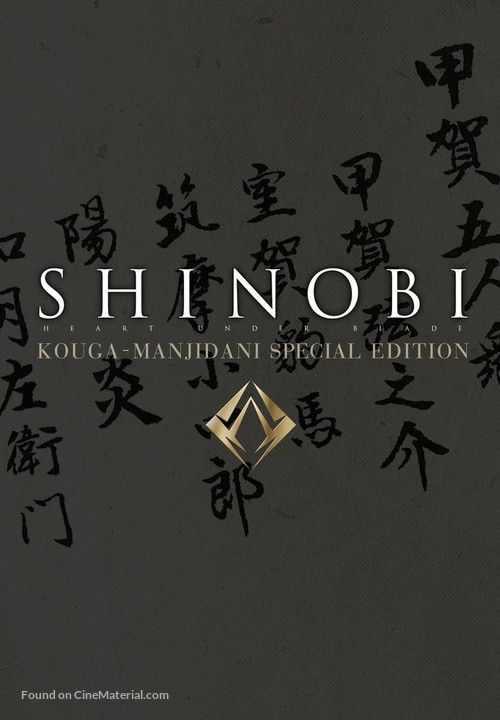 Shinobi - DVD movie cover