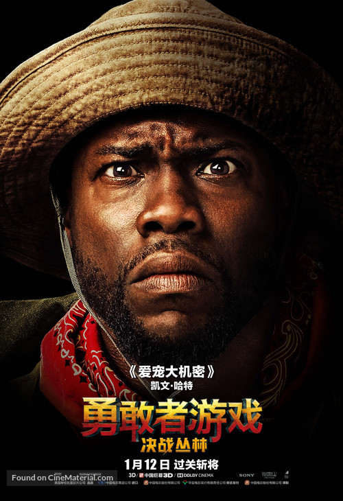 Jumanji: Welcome to the Jungle - Chinese Movie Poster