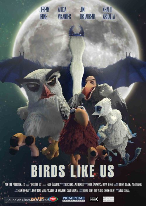 Birds Like Us - Movie Poster