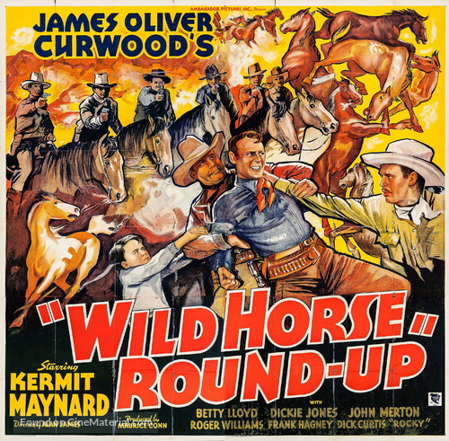 Wild Horse Roundup - Movie Poster