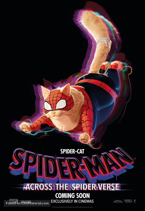 Spider-Man: Across the Spider-Verse - Irish Movie Poster