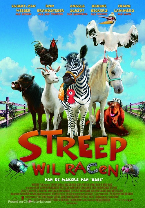 Racing Stripes - Dutch Movie Poster