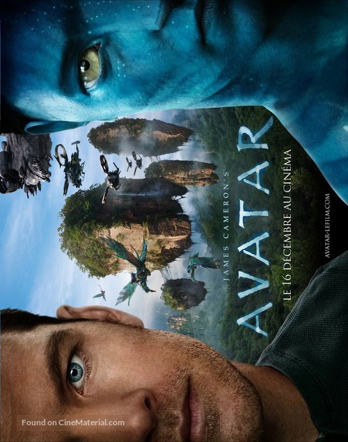 Avatar - French Movie Poster