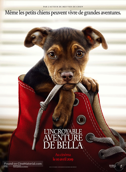 A Dog&#039;s Way Home - French Movie Poster