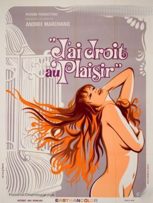 J&#039;ai droit au plaisir - French Movie Poster