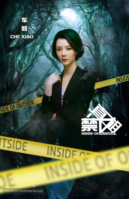 Zhen xiang jin qu - Chinese Movie Poster