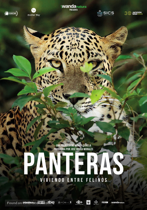 Panteras: Viviendo entre felinos - Spanish Movie Poster