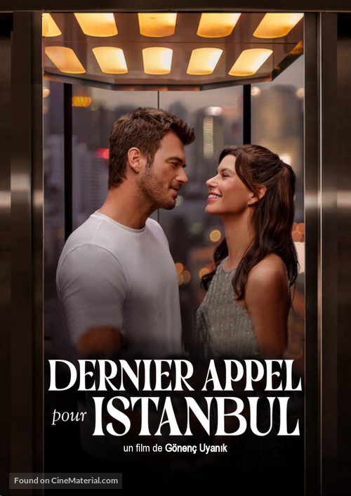 Istanbul I&ccedil;in Son &Ccedil;agri - French Movie Poster