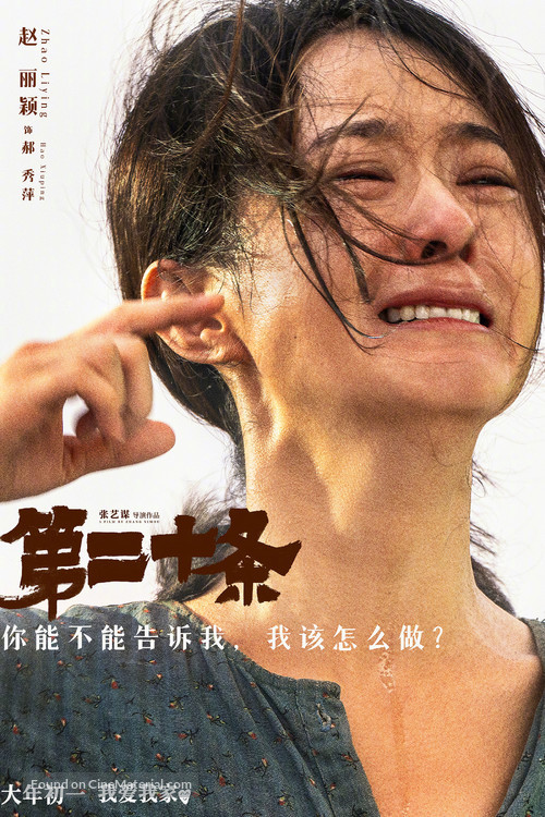 Di er shi tiao - Chinese Movie Poster