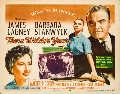 These Wilder Years - Movie Poster