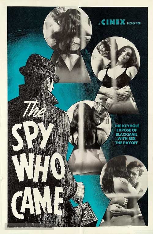 The Spy Who Came - Movie Poster