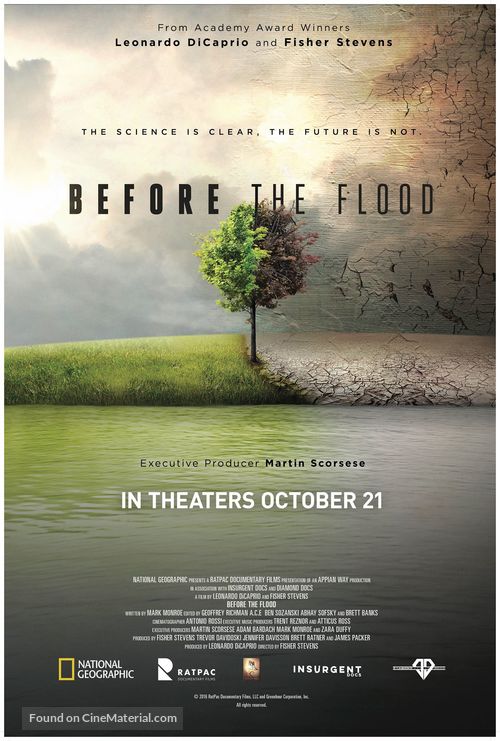 Before the Flood - Movie Poster