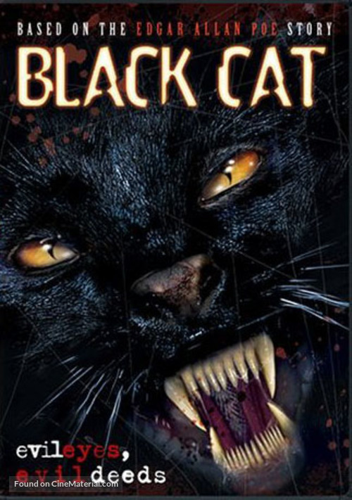 Black Cat - poster