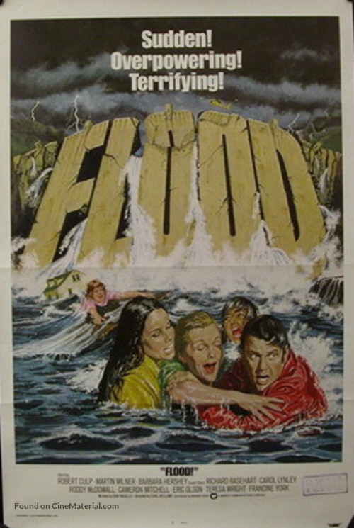 Flood! - Movie Poster